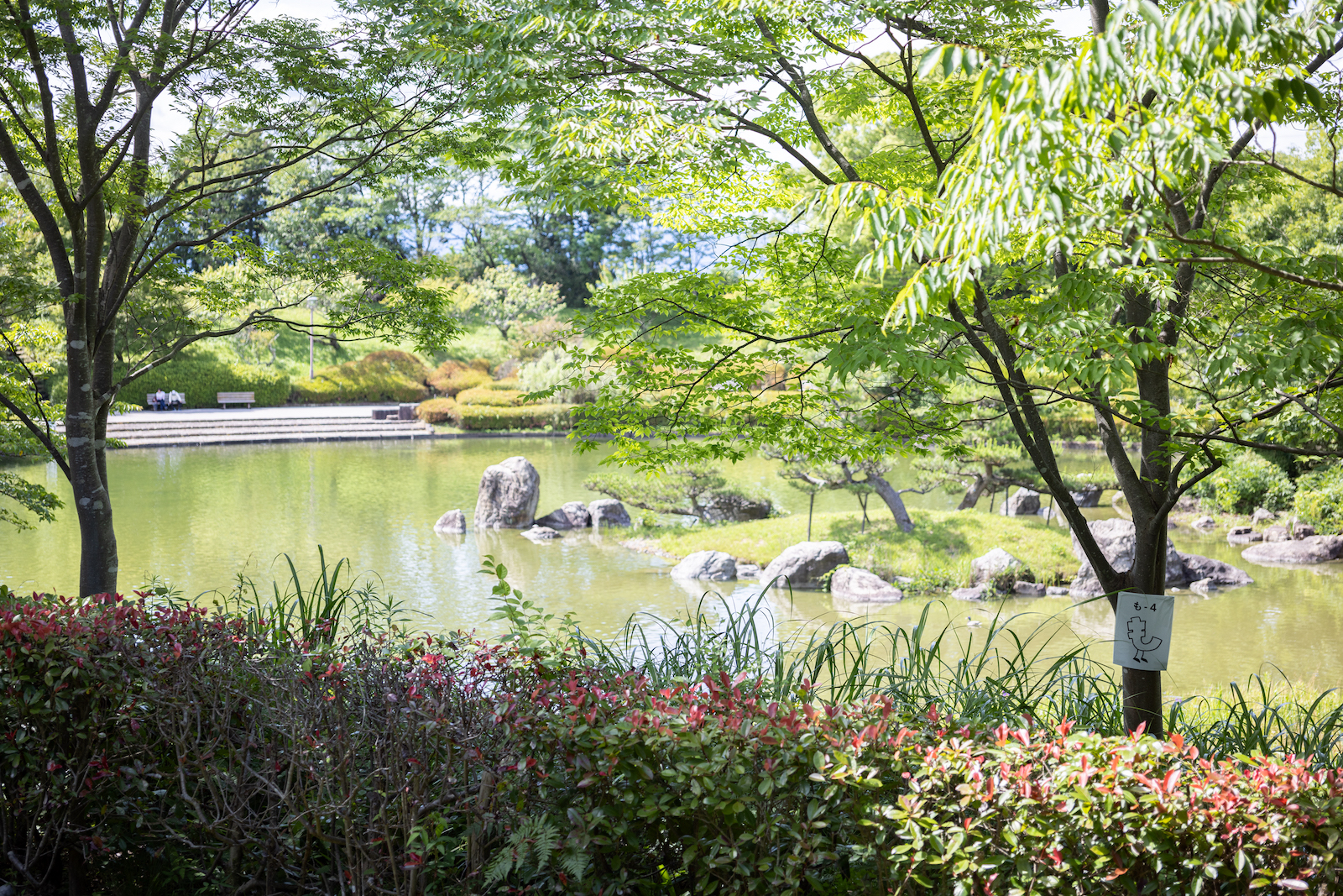 【写真】休憩スペースからの景色。池の中央には岩で囲まれた小さな島があり、池の周りには低木や木がが生えている。画面手前には2本の木が写っており、右側の木にはひらがなの「も」に足が生えたキャラクターが描かれた紙が掲示されている。展覧会のサブタイトルである「たとえば、「も」を何百回と書く。」に合わせた仕掛け。